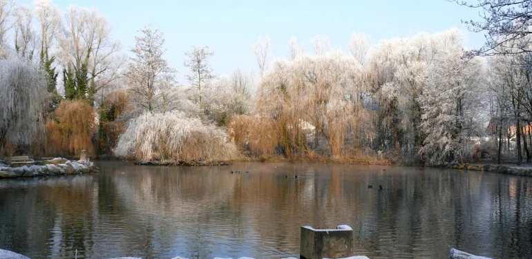 Kopie von Herzlich Willkommen